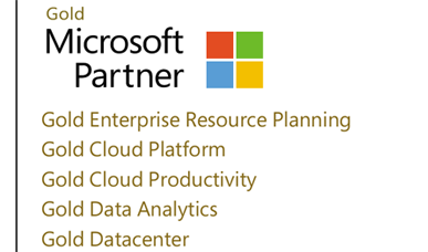 ERP implementation Microsoft Gold Partner