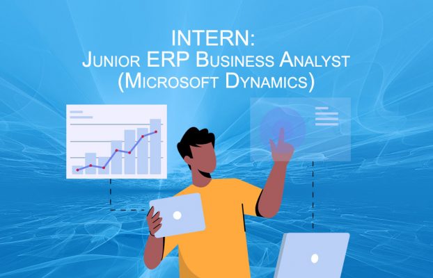 Intern: Junior ERP Business Analyst (Microsoft Dynamics)